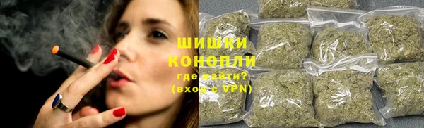 spice Беломорск