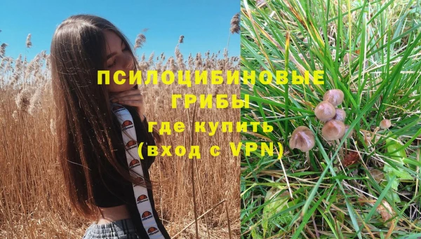 не бодяженный Белокуриха