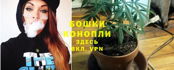 MESCALINE Белоозёрский